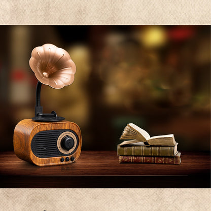 Products Gramophone Shape Speaker Exquisite Wireless