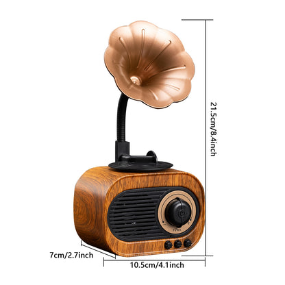 Products Gramophone Shape Speaker Exquisite Wireless